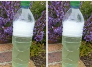 Sredstvo za ubijanje korova za par centi – očistilo je beton, terasu i cijelu baštu: ISPROBANO I NAJJAČE, NE MOGU GA ODLOŽITI!