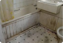 SVI HVALE SIRĆE, ALI OVO JE MOĆNIJE: Čudo koje je čekalo eliminisalo je prljavštinu i buđ u kupatilu starom 20 godina za nekoliko sati!