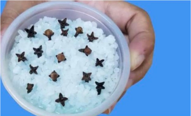 Kupatilo moje svekrve uvek lepo miriše, samo otvori vrata: OVO JE NJENA TAJNA!