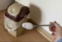 Svaki NEUGODAN MIRIS u vašem stanu će nestati TRENUTNO ako koristite ovaj jednostavan TRIK!