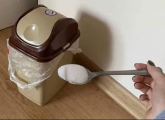 Svaki NEUGODAN MIRIS u vašem stanu će nestati TRENUTNO ako koristite ovaj jednostavan TRIK!