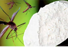 Komarci NESTAJU za samo 1 minutu zauvijek! Najbolji besplatni organski recept!