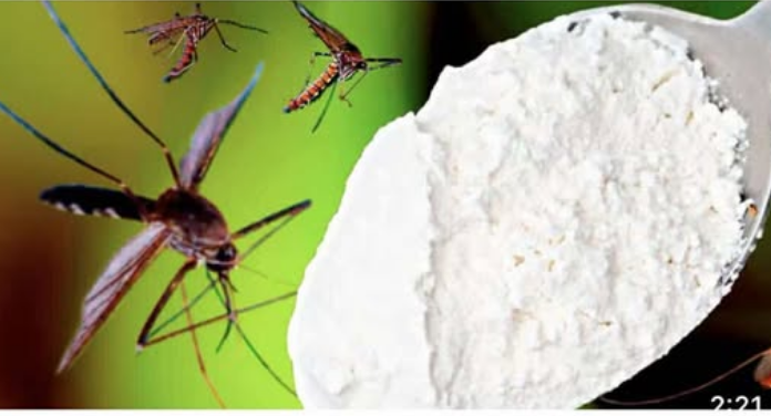 Komarci NESTAJU za samo 1 minutu zauvijek! Najbolji besplatni organski recept!