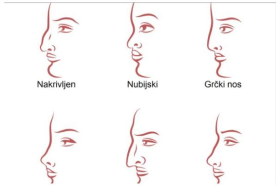 ZVUČI ČUDN0, ALI JE ISTINIT0: Evo šta 0BLIK N0SA govori 0 VAMA! Svima je pogodil0