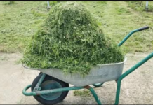 OVO ĆE KORISTITI SVIMA KOJI KOSE TRAVU!👆😲 Više ga nećete bacati. Nećete vjerovati čemu služi!