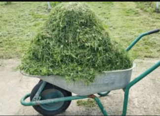 OVO ĆE KORISTITI SVIMA KOJI KOSE TRAVU!👆😲 Više ga nećete bacati. Nećete vjerovati čemu služi!