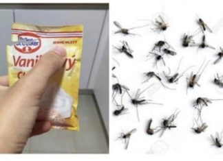 SAMO 1 PAKETIĆ VANILIN ŠEĆERA I NE TREBA VAM REPELENT: Savršen trik za omražene komarce, djeluje bolje od kemije!