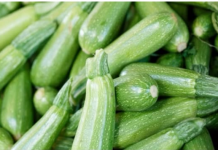 OVAKO SE NIKAKO NE SPREMAJU TIKVICE: Mnoge domaćice ovo ne znaju pa prave veliku grešku