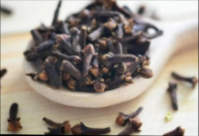 STAVILA JE KARANFILIĆ NA VRATA U KUĆI: PREKO NOĆI SE RIJEŠILA PROBLEMA KOJI JE PRISUTAN KOD MNOGIH!