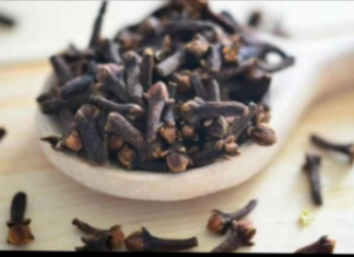 STAVILA JE KARANFILIĆ NA VRATA U KUĆI: PREKO NOĆI SE RIJEŠILA PROBLEMA KOJI JE PRISUTAN KOD MNOGIH!