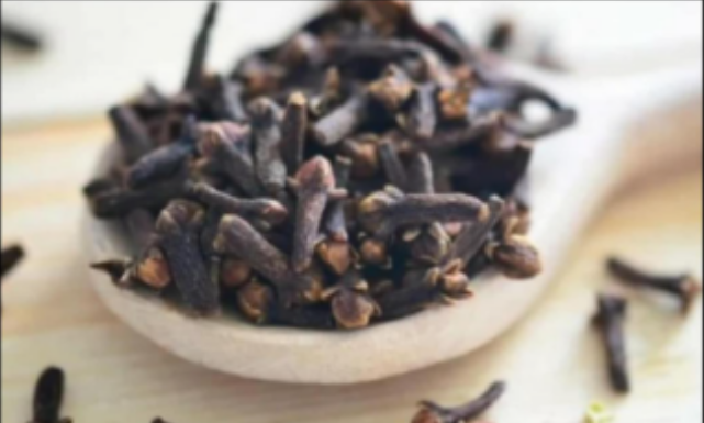 STAVILA JE KARANFILIĆ NA VRATA U KUĆI: PREKO NOĆI SE RIJEŠILA PROBLEMA KOJI JE PRISUTAN KOD MNOGIH!