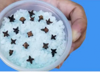 Kupatilo moje svekrve uvek lepo miriše, samo otvori vrata: 0V0 JE NJENA TAJNA!