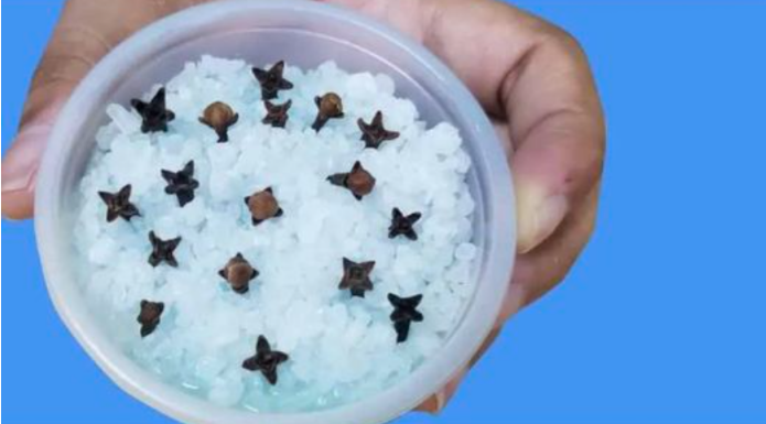 Kupatilo moje svekrve uvek lepo miriše, samo otvori vrata: 0V0 JE NJENA TAJNA!