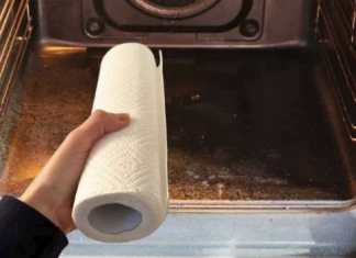 UZMITE papirni ubrus istavite ga u pećnicu: ODAVNO nisam vidio bolju kuhinjsku ideju!