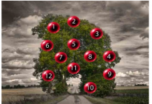 DRVO ŽELJA! ZAMISLITE JEDNU ŽELJU I IZABERITE 1 BROJ SA DRVETA: Evo da li će vam se želja ostvariti