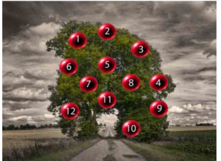 DRVO ŽELJA! ZAMISLITE JEDNU ŽELJU I IZABERITE 1 BROJ SA DRVETA: Evo da li će vam se želja ostvariti