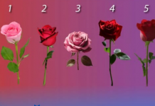 TEST LIČNOSTI: Odaberite najljepšu ružu i saznajte kada će vam se NAJVEĆA želja ispuniti
