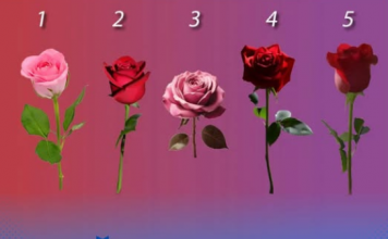 TEST LIČNOSTI: Odaberite najljepšu ružu i saznajte kada će vam se NAJVEĆA želja ispuniti