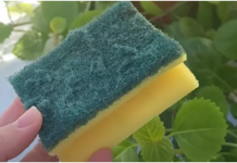 Nikada ne bacajte stari sunđer: Kada vidite čemu služi čuvat ćete ga kao oči u glavi!!TRIK KOJI JE OBIŠAO CIJELI SVIJET!!!!