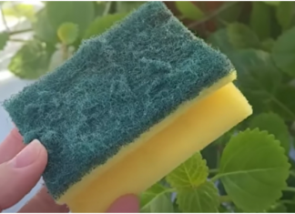 Nikada ne bacajte stari sunđer: Kada vidite čemu služi čuvat ćete ga kao oči u glavi!!TRIK KOJI JE OBIŠAO CIJELI SVIJET!!!!