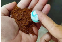 UMRO BIH I NE BIH ZNAO! Pomiješajte kavu s pastom za zube i prestanite trošiti novac na pijaci..