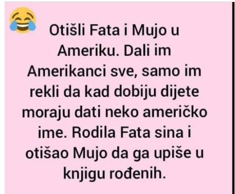 VIC DANA: Fata i Mujo u Americi