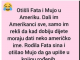 VIC DANA: Fata i Mujo u Americi