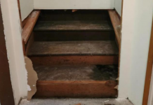 Žena pronašla skrivene stepenice dok je renovirala kuću: KAD SE POPELA GORE, nije mogla da vjeruje šta vidi (FOTO)