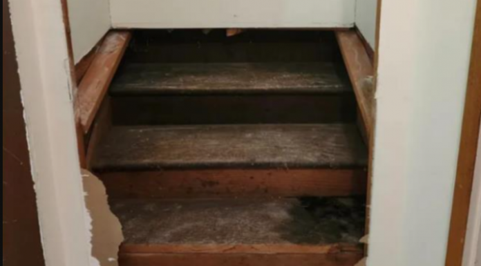 Žena pronašla skrivene stepenice dok je renovirala kuću: KAD SE POPELA GORE, nije mogla da vjeruje šta vidi (FOTO)