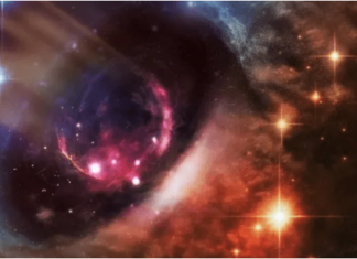 Zvijezde biraju miljenike: 3 znaka očekuje veliki pozitivan preokret u avgustu 2025. godine