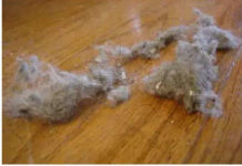 PRAŠINA U STANU ME NERVIRALA, A ONDA MI JE SVEKRVA DALA ODLIČAN RECEPT: Sad Čistim Kuću Trostruko Rjeđe, A SVE BLISTA