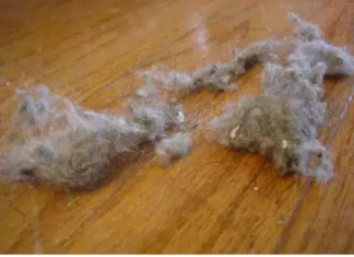 PRAŠINA U STANU ME NERVIRALA, A ONDA MI JE SVEKRVA DALA ODLIČAN RECEPT: Sad Čistim Kuću Trostruko Rjeđe, A SVE BLISTA