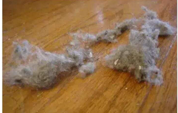 PRAŠINA U STANU ME NERVIRALA, A ONDA MI JE SVEKRVA DALA ODLIČAN RECEPT: Sad Čistim Kuću Trostruko Rjeđe, A SVE BLISTA