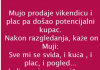 VIC DANA: PRODAJA VIKENDICE