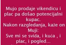 VIC DANA: PRODAJA VIKENDICE