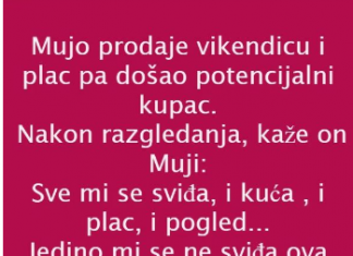 VIC DANA: PRODAJA VIKENDICE