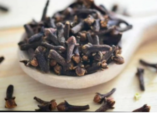 Stavila je karanfilić na vrata u kući: Preko noći se riješila problema koji je prisutan kod mnogih