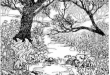 Mnogi su probali, ali nisu uspeli: Svako ko pronađe ženu na fotografiji ima natprosečnu inteligenciju