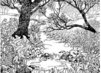 Mnogi su probali, ali nisu uspeli: Svako ko pronađe ženu na fotografiji ima natprosečnu inteligenciju