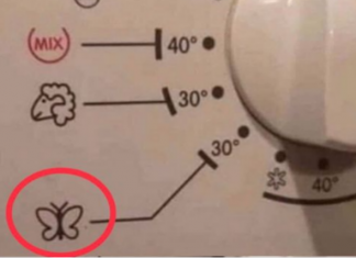 ZNATE LI ŠTA ZNAČI OZNAKA LEPTIR NA VEŠ MAŠINI: Veoma je korisna, a mnogi je ne koriste