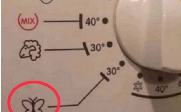 ZNATE LI ŠTA ZNAČI OZNAKA LEPTIR NA VEŠ MAŠINI: Veoma je korisna, a mnogi je ne koriste