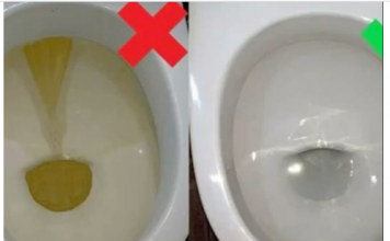 Sipajte samo 50 grama ovog praha u WC šolju i zaboravite na ribanje: ZASIJAĆE KAO NOVA