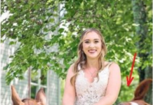 OVA SLIKA JE NAJVEĆI HIT, LJUDI PLAČU OD SMIJEHA: Kad vidite donji dio slike NEĆE VAM BITI DOBRO