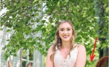 OVA SLIKA JE NAJVEĆI HIT, LJUDI PLAČU OD SMIJEHA: Kad vidite donji dio slike NEĆE VAM BITI DOBRO