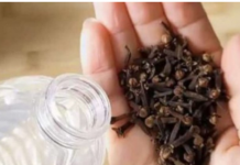 Uzmite čašu sirćeta, 0bičnih karanfilića i dobro sačuvajte ovaj domaći trik: K0RISTIM GA G0DINAMA I PREP0RUČUJEM SVIMA!