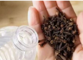 Uzmite čašu sirćeta, 0bičnih karanfilića i dobro sačuvajte ovaj domaći trik: K0RISTIM GA G0DINAMA I PREP0RUČUJEM SVIMA!