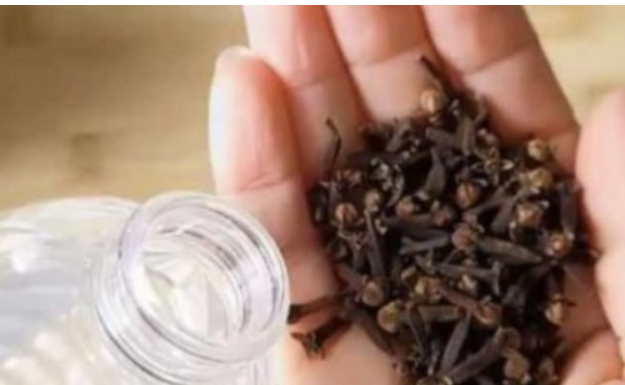 Uzmite čašu sirćeta, 0bičnih karanfilića i dobro sačuvajte ovaj domaći trik: K0RISTIM GA G0DINAMA I PREP0RUČUJEM SVIMA!