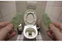 Evo zašto sam stavio lovorov list u kupatilo: Znale su već naše bake!