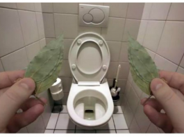 Evo zašto sam stavio lovorov list u kupatilo: Znale su već naše bake!