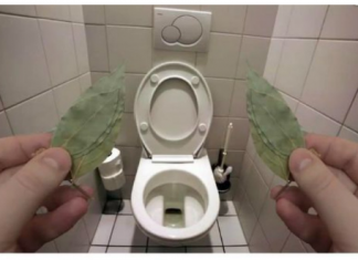 Evo zašto sam stavio lovorov list u kupatilo: Znale su već naše bake!